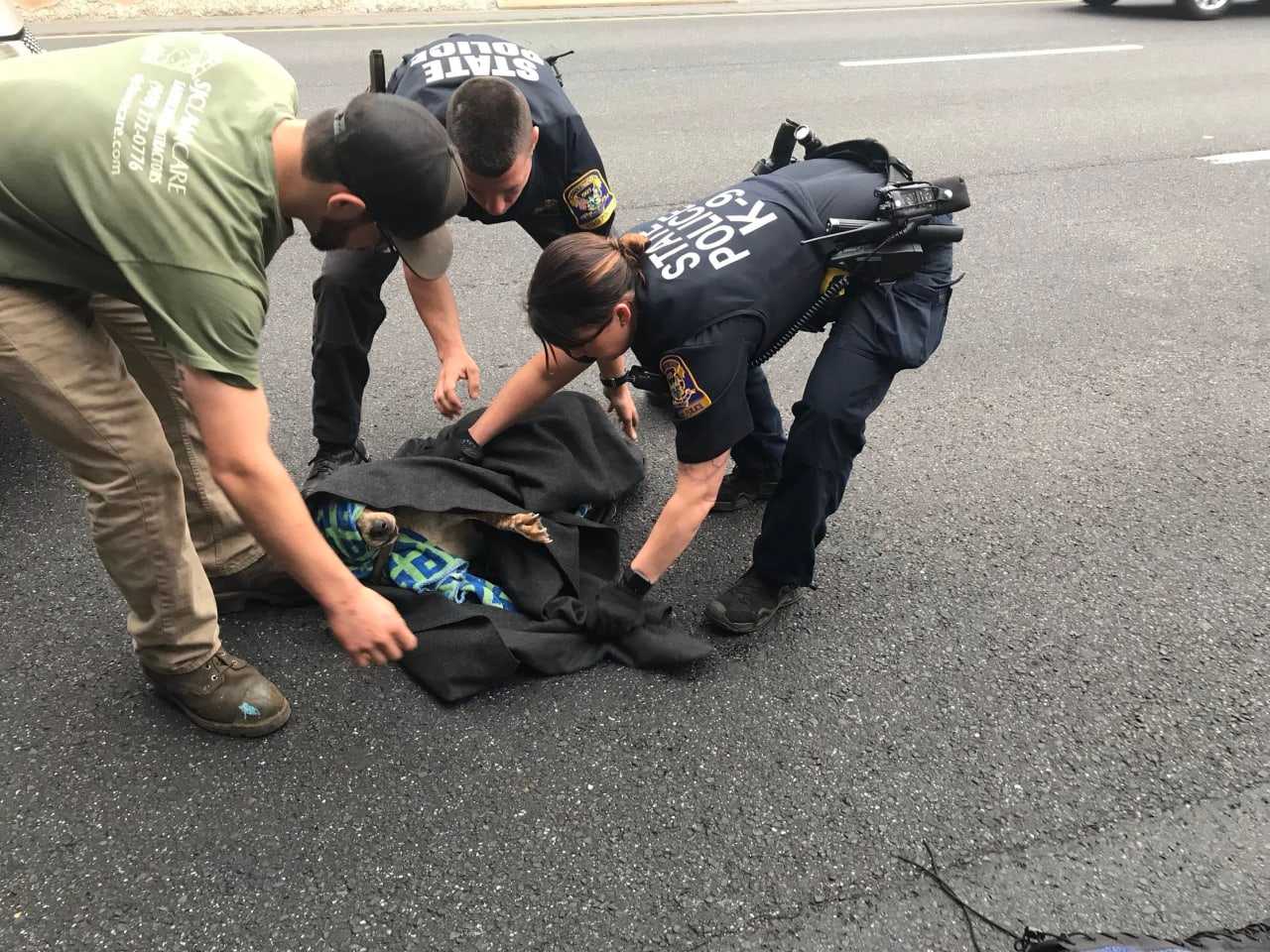 A dog was rescued from I-84 by state police and drivers who blocked the highway.
