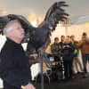 A juvenile eagle struts his stuff at the last EagleFest held at the Teatown Lake Reservation , a nature preserve in Ossining.