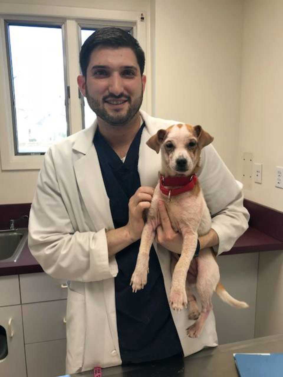Dr. Andrew Rosenberg with his skin patient and newly-adopted dog, Lillian.
