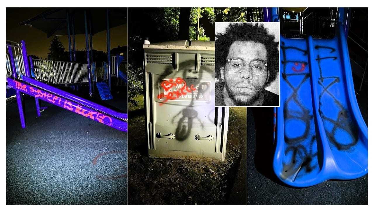 Vandal Caught Spray Painting Elmwood Park Playground: Police