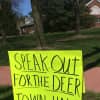 The governing body introduced a resolution to permit bow hunting in the borough on Feb. 22 in an effort to address resident complaints about the growing deer population.
