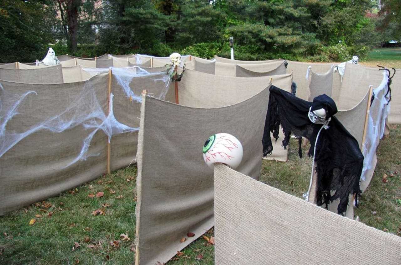 Come wander the Fall Festival's crazy maze.
