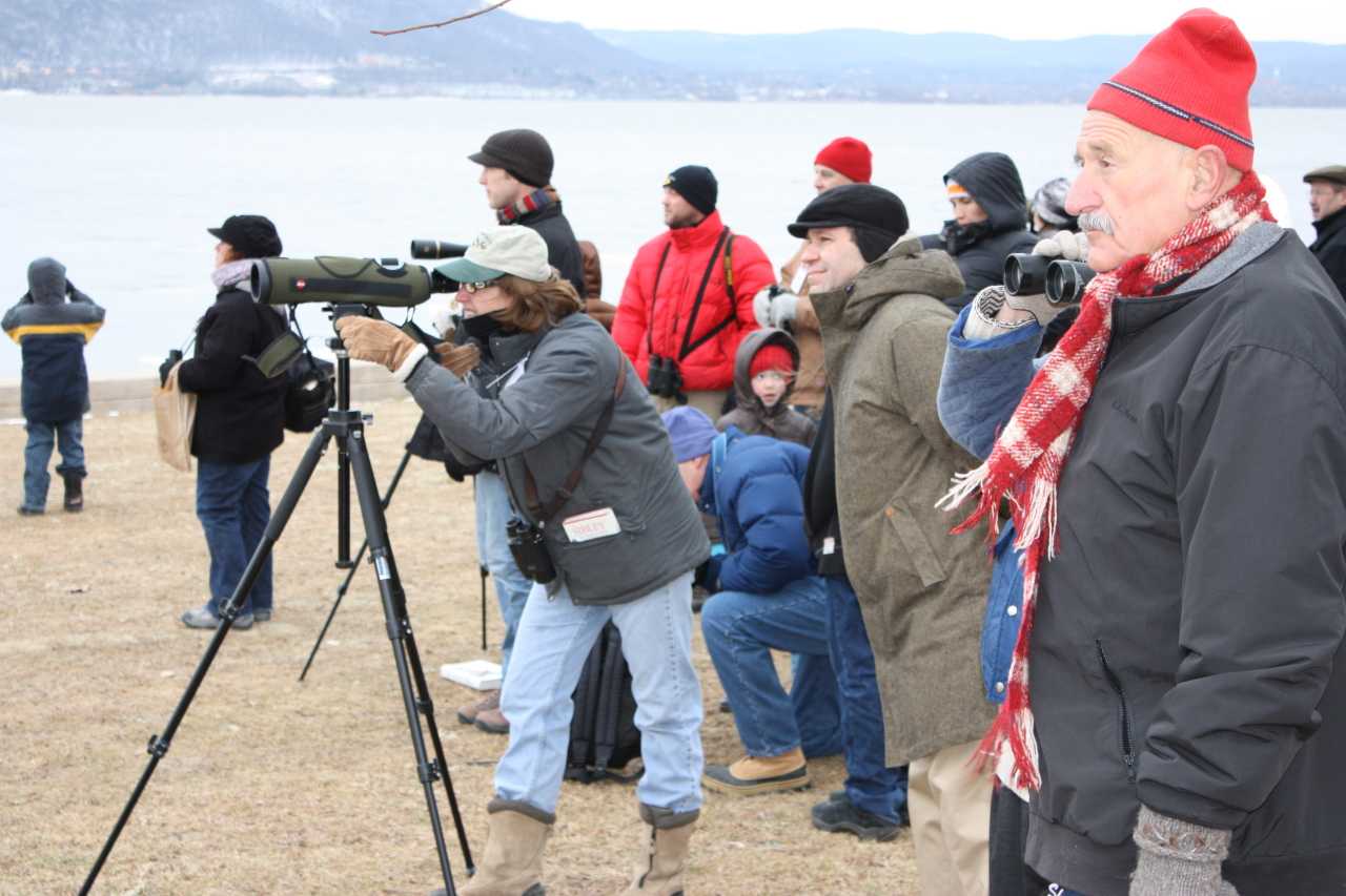 Birders scan the skies for bald eagles roosting along the Hudson River last winter.