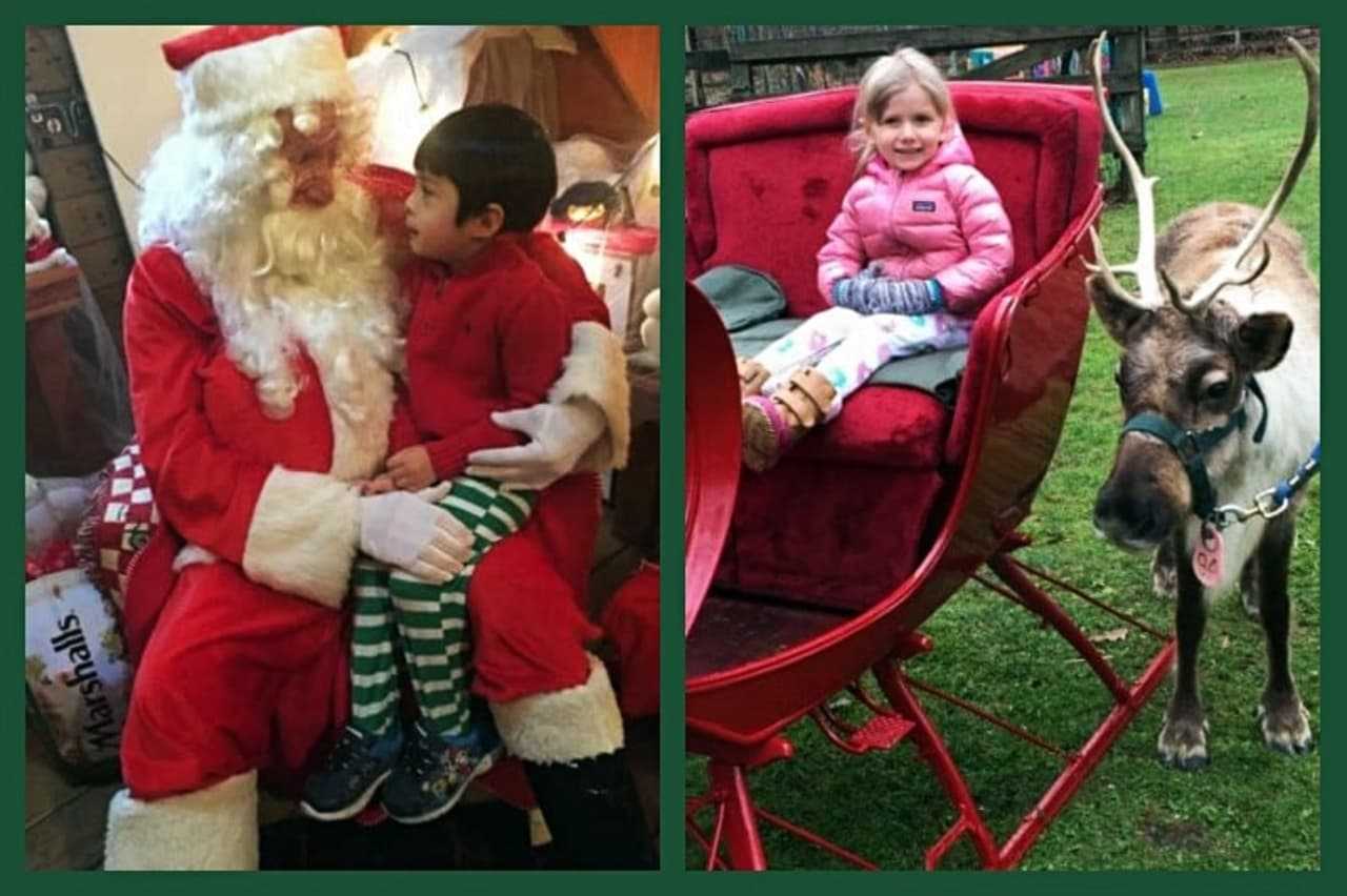 Country Childrens Center in Katonah held its annual Polar Express Holiday Party -- complete with reindeer -- last week.
