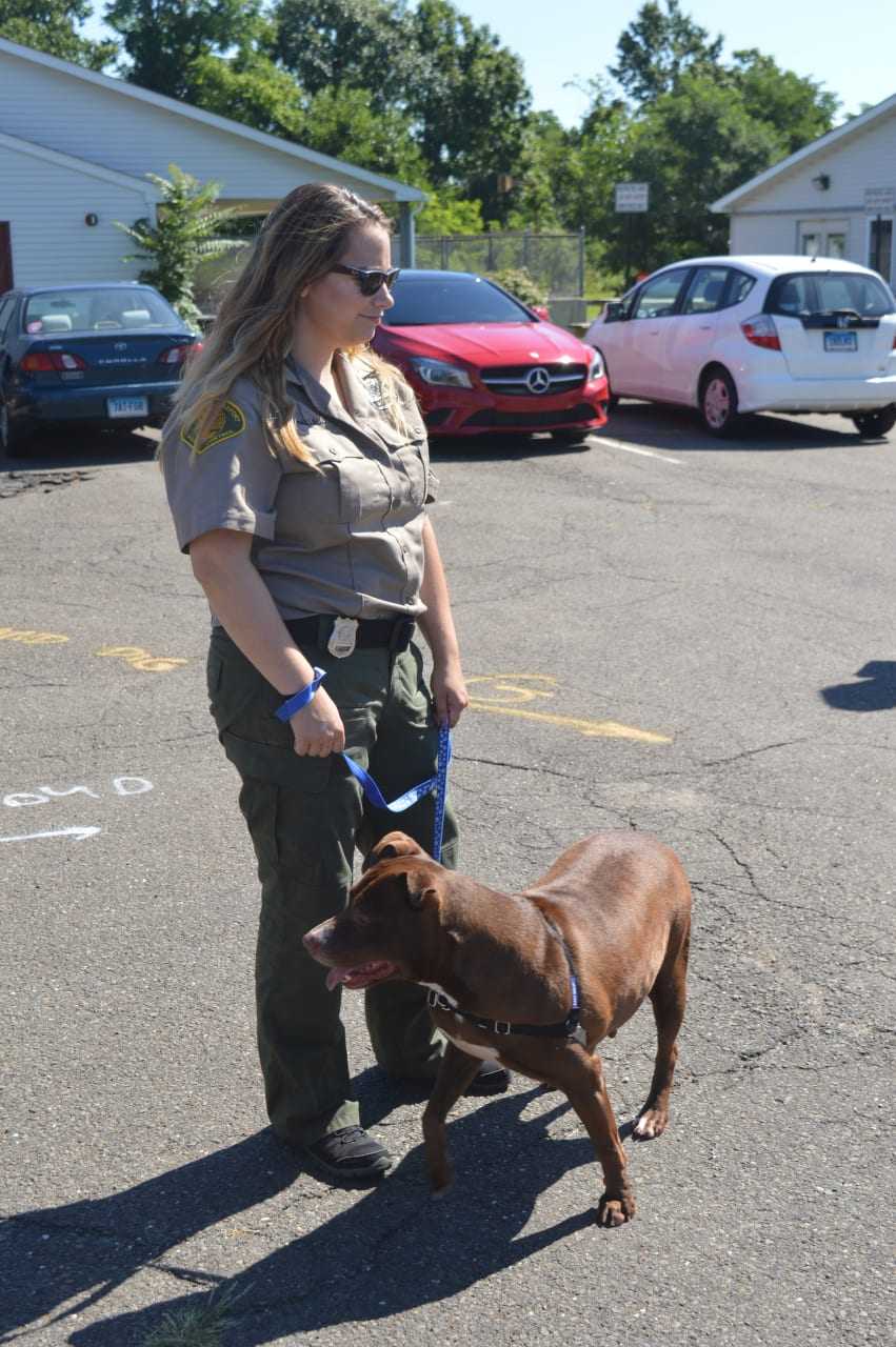 Bridgeport Chief Animal Control Officer Jennifer Wallace gets ready to tae Caramel on a walk.