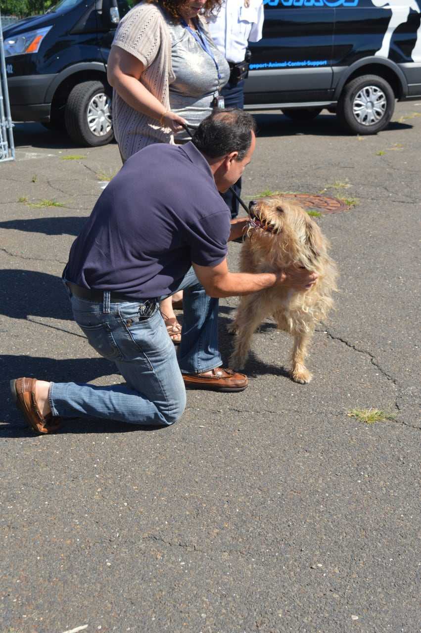 Bridgeport Mayor Joe Ganim gets to know his new pal Duke at the Bridgeport Animal Control shelter.