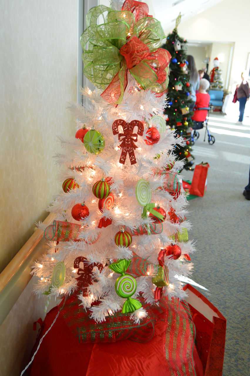 One of the many trees seen in the room of trees.