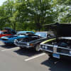 Classic cars are lined up at the Shelton car show.