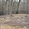 An overview of the Hopper African American Cemetery in Upper Saddle River. It is also known as the "Slave Cemetery."