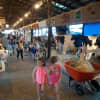 The livestock exhibit is always popular at the fair.