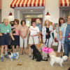 Fifteen dogs, of all sizes and breeds, paraded down “Main Street” at The Village with their owners.