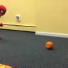 Brayden Smith, 3, takes his turn at pumpkin bowling.