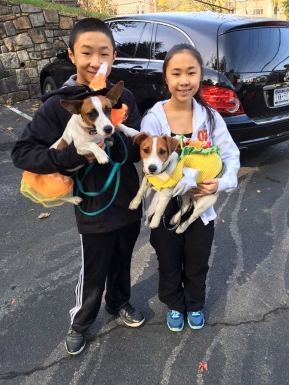 Ossining had its first Halloween Pet Parade Oct. 31. 