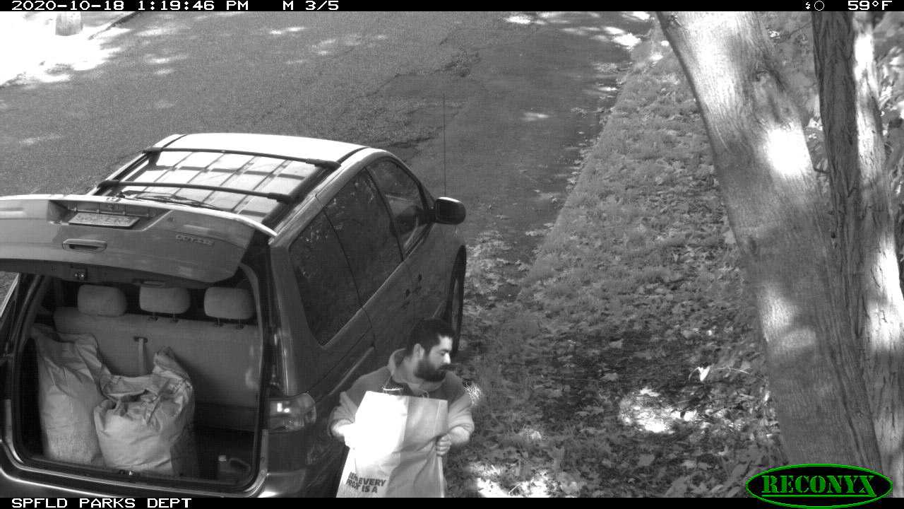 Seven were cited for illegally dumping in Western Massachusetts.