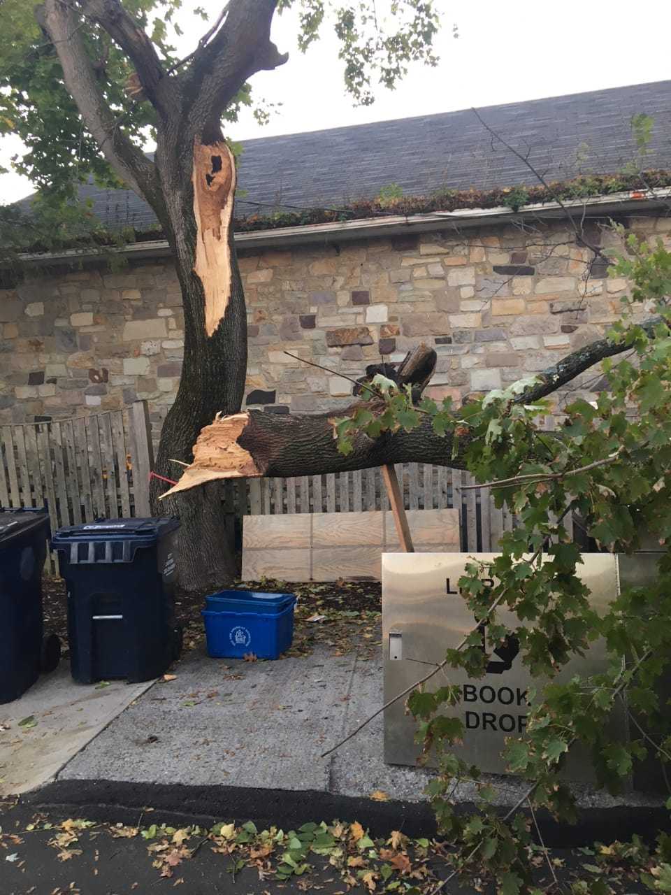 A downed tree blocks the book return at the New Canaan Library on Monday.