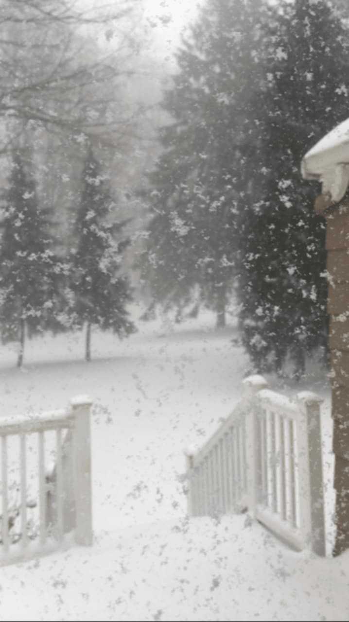 Chris McCarthy captured this snowy day in Fairfield.