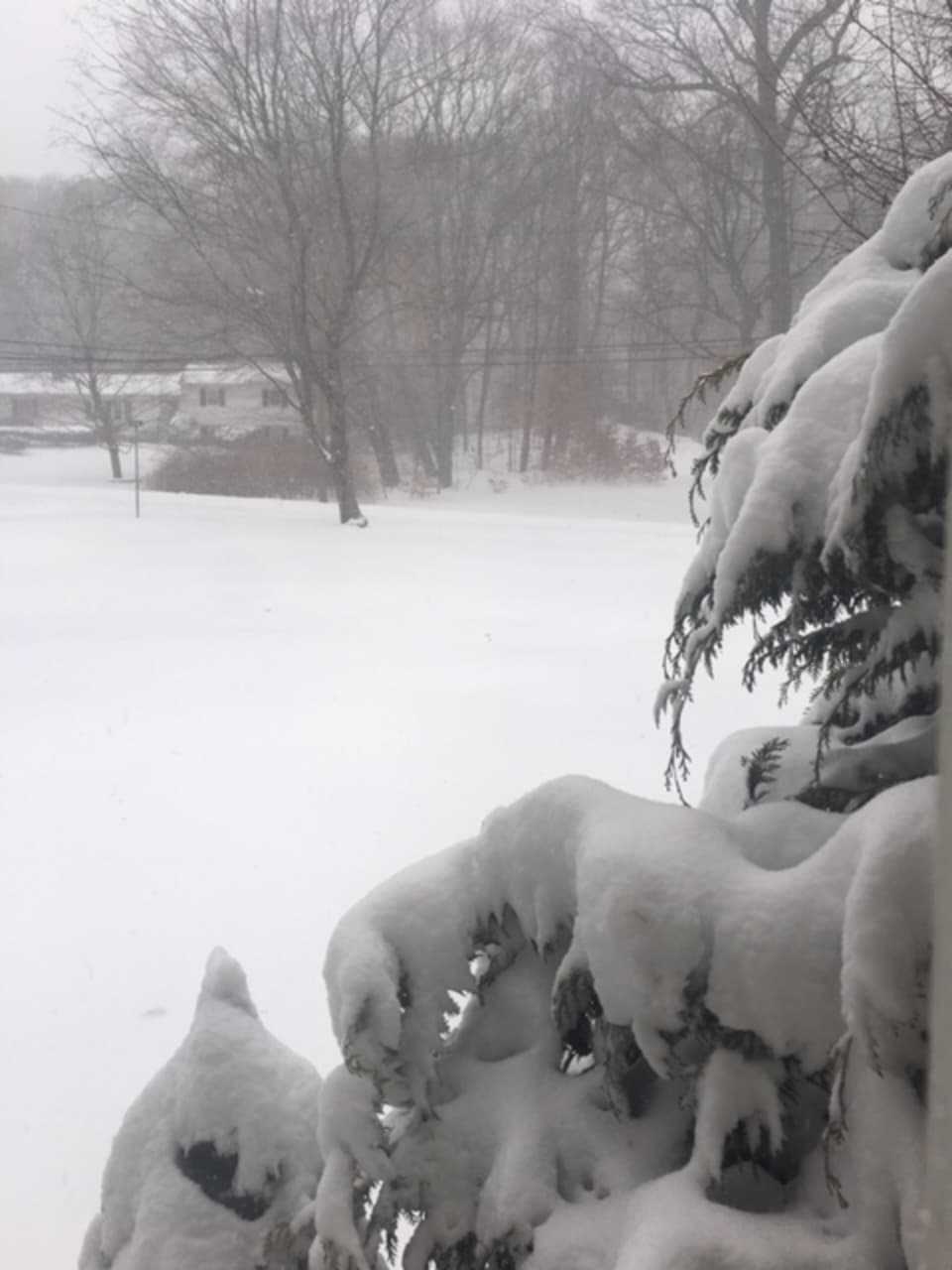 Chris McCarthy captured this snowy day in Fairfield.