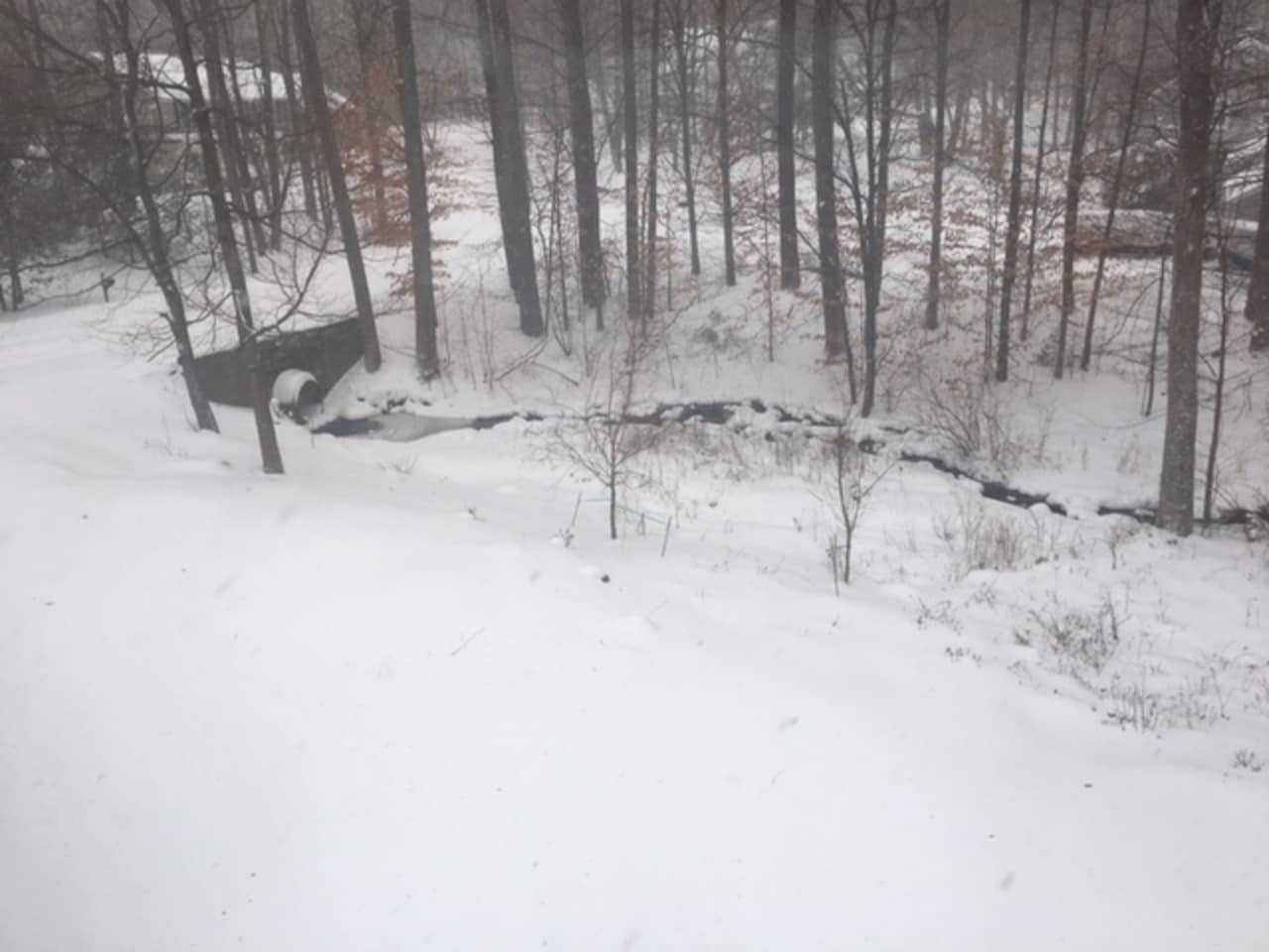 Chris McCarthy captured this snowy day in Fairfield.