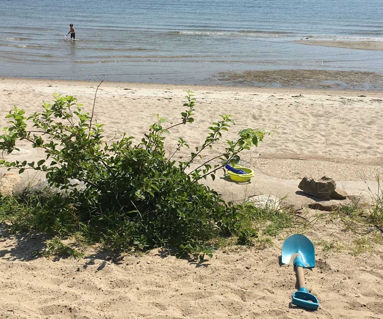 It is a picture-perfect day at Greenwich Point Park.