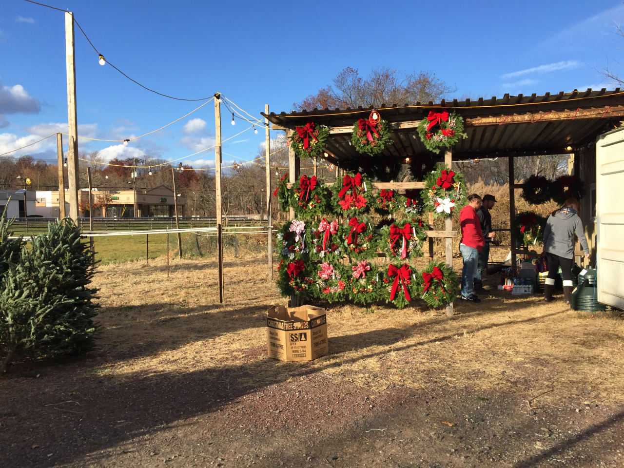 TJK Landscaping is holding its annual Christmas tree sale at New Bridge Landing.