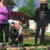 Sarah Lusman and Suzanne Zakka watch as a Putnam Indian Field student waters a garden.