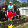 In back from left: Susan Donaghy (Head of School), Marianne Riess (former Head of School and founder of Planting Day) and Elizabeth Lillien.  Front from left: Suzanne Zakka, Bill Palmer (Sam Bridge Nursery) and Diane Gordon (Pre-K teacher).
