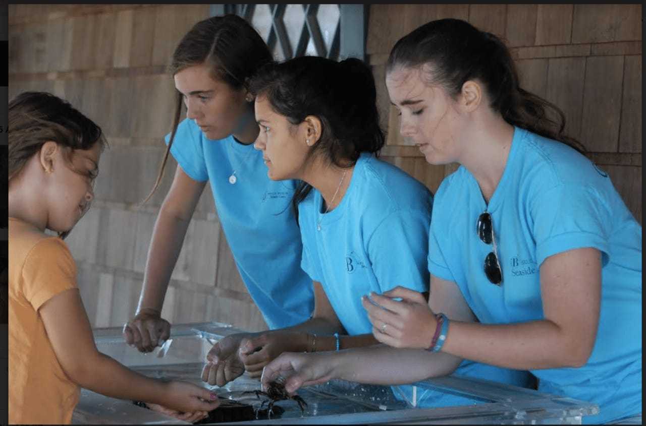 Bruce Museum's Seaside Center volunteers