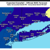 These are the earlier snowfall projections released Sunday morning by the National Weather Service.