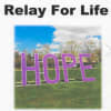 Patterson's 10th annual Relay for Life is all-day until midnight on Saturday, June 9.