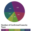 A breakdown of COVID-19 cases in Putnam County, by percentage.