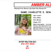 AMBER Alert Activated For 9-Year-Old Girl Who Went Missing At Moreau Lake State Park