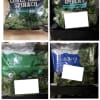 Kale, Spinach, Collard Green Products Produced In MD Subject To Listeria Recall