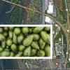Holy Guacamole! I-81 Avocado Spill Leaves Tractor-Trailer Dangling: PennDOT
