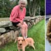 New Update: Extremely Matted Mini-Poodle Finds New, Loving Home In CT
