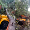 New Update: Fallen Tree Hits School Bus, Leaves 25 Children Stranded In Mahopac