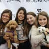 The pup-parazzi will be on hand at Woofstock to snap photos of locals with pups who need to be rescued.