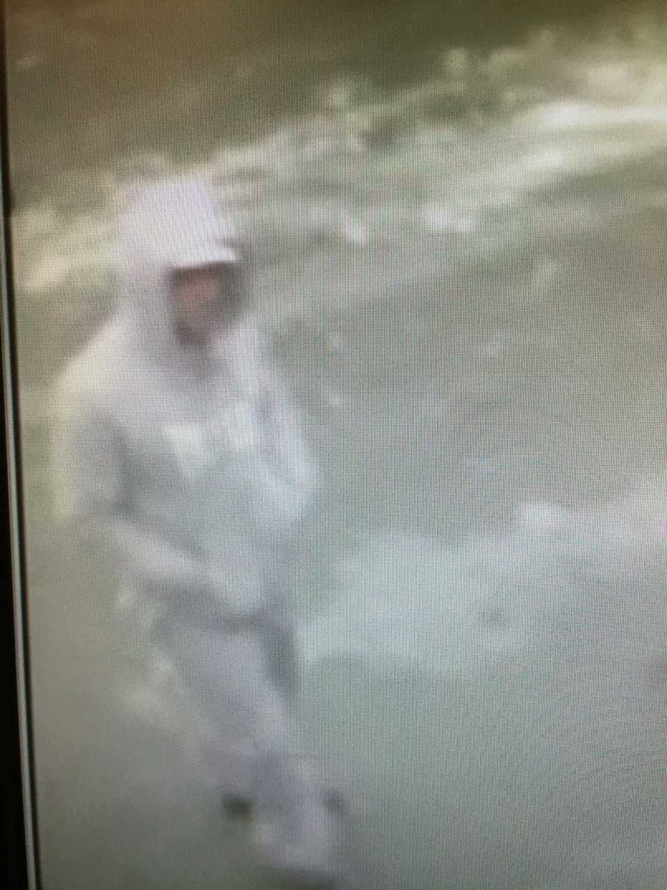 Surveillance footage of the suspect in a car burglary at a local business in Norwalk.