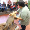 Elissa Schilmeister is a licensed wildlife rehabilitator, who specializes in opossums and snakes. 