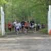 The starting line at the 'Where the Wild Things Run' trail race at the Woodcock Nature Center in Wilton. 