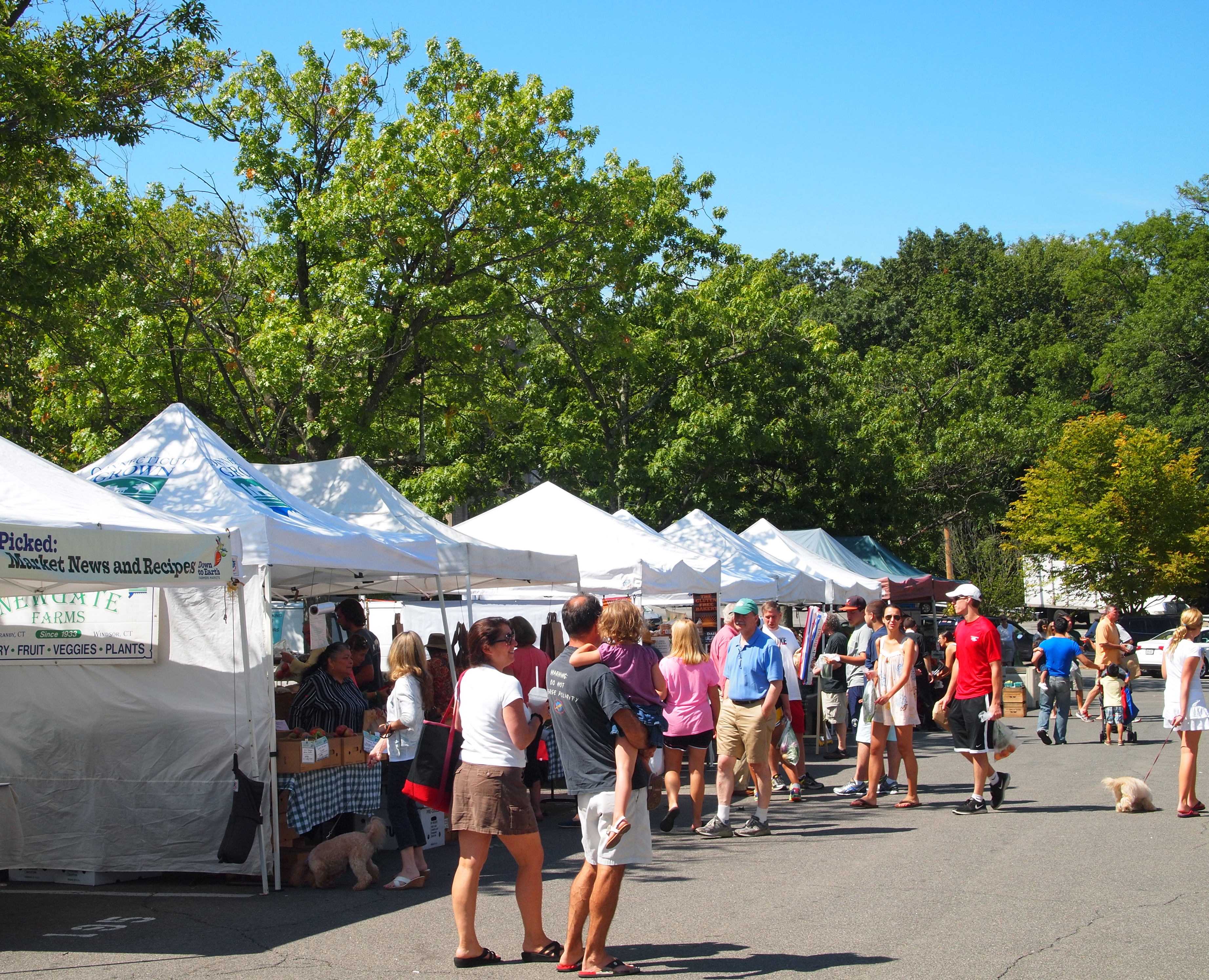 Rye shoppers can start shopping at the Rye Farmers Market Sunday, May 11. 