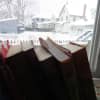 A good day to stay in and book it. The Mamaroneck Public Library is open.