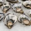 Contaminated Oysters: NY Restaurants, Stores Warned To Not Sell Shellfish By FDA