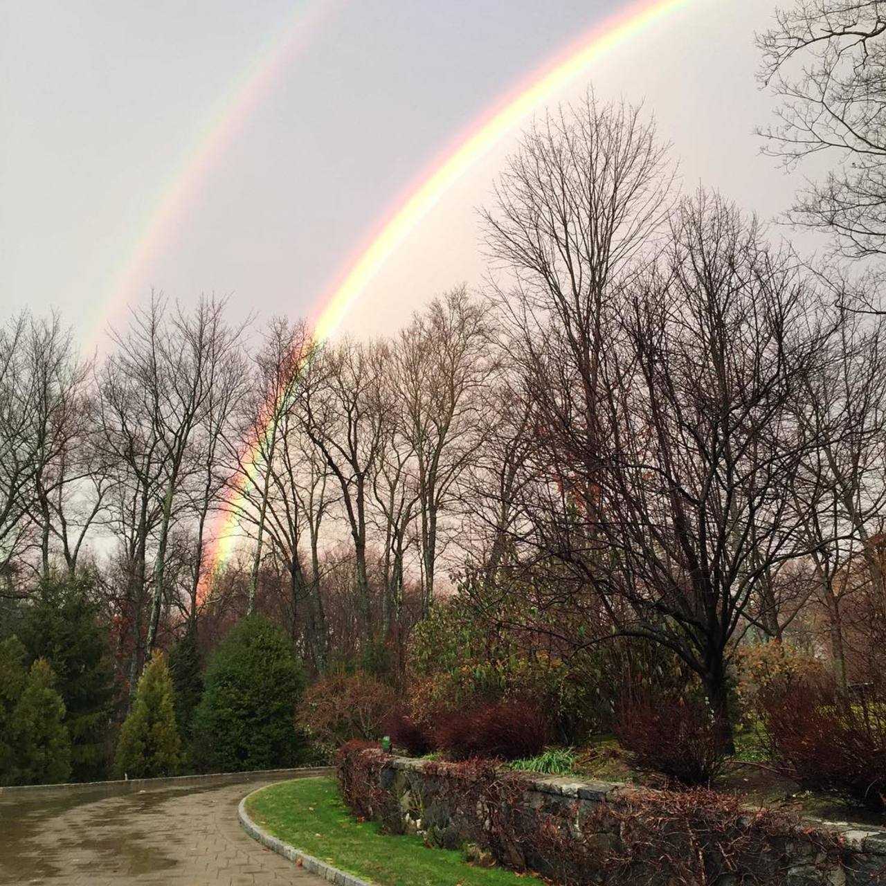 The rainbow pair was photographed in Westchester Sunday.
