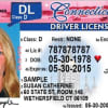 This is a sample REAL ID-compliant driver's license. AAA offices in Fairfield and New Haven counties will no longer process driver's licenses or perform other DMV functions.