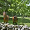 With over nine-acres, horses are free to roam the property.