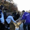New Rochelle High School marine science students collected marine life during a Nov. 16 excursion to Pelham Bay Park.