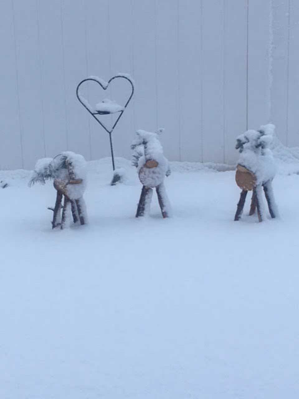 Patricia Durkin sent this wintry photo from Danbury.