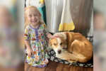 Central Mass Mother In 'Shock' As Daughter, Dog Both Combat Kidney Disease