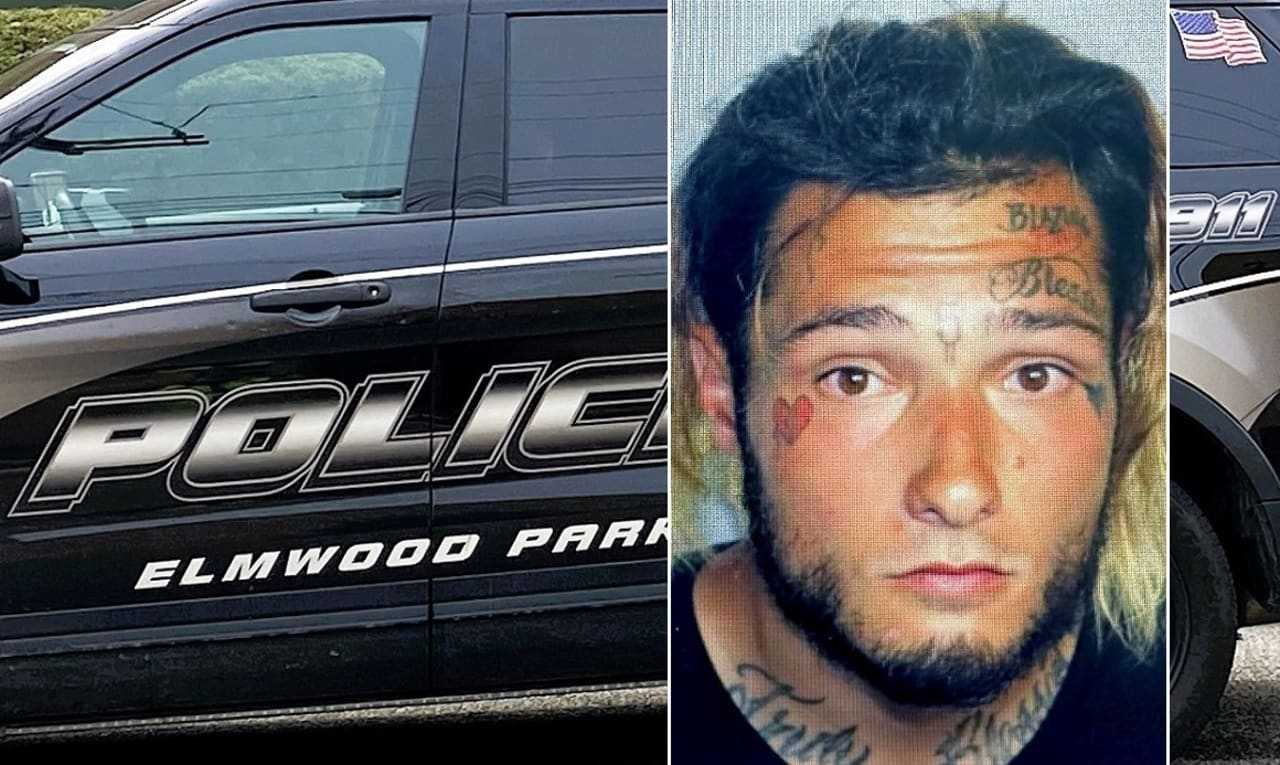 Homeless Burglar Throws Rock Through Back Window, Finds Elmwood Park Resident Home: Police