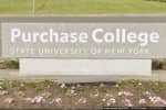 Purchase College Ranks Among Top 10 Public Schools In US, New Report Says